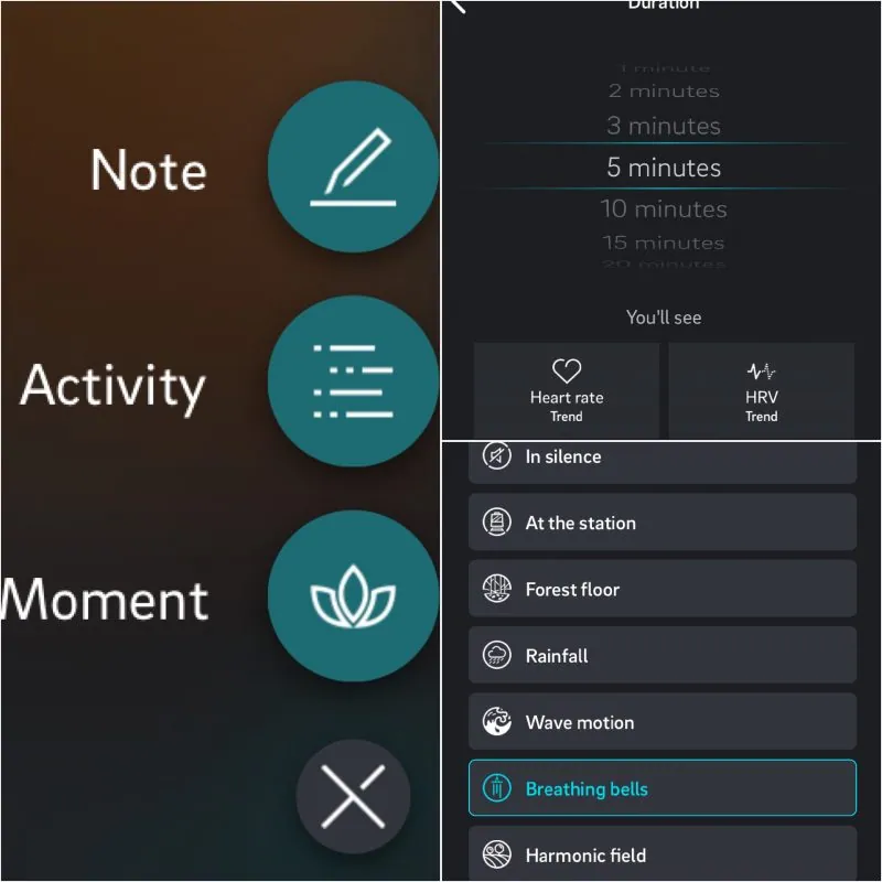 How To Install Moment On Oura Ring?_1