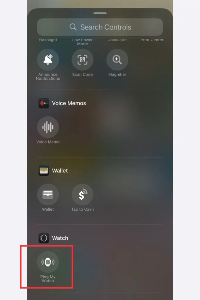 ping my watch on iphone; How To Ping Your Apple Watch From iPhone & Vice Versa