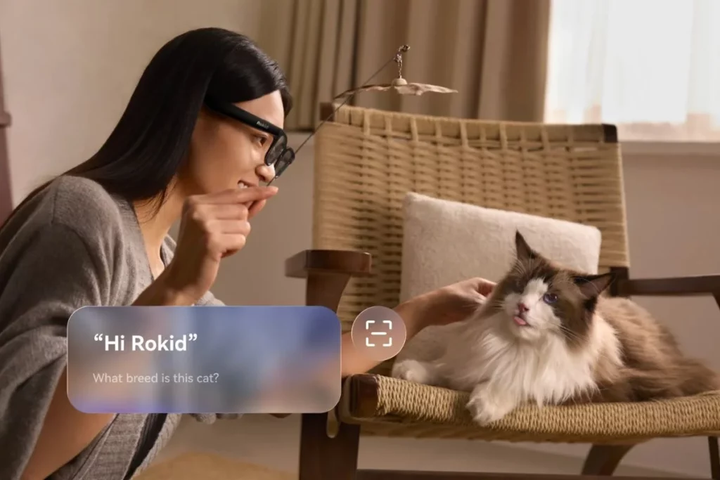 Rokid AI Glasses AI photo recognition; Rokid AI Glasses