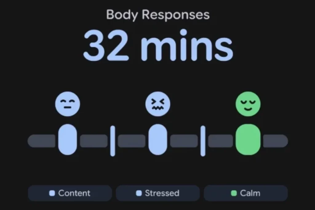 Pixel watch 5 stress; pixel watch 5 explained